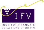 IFV