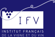 Institut Français de la Vigne et du Vin