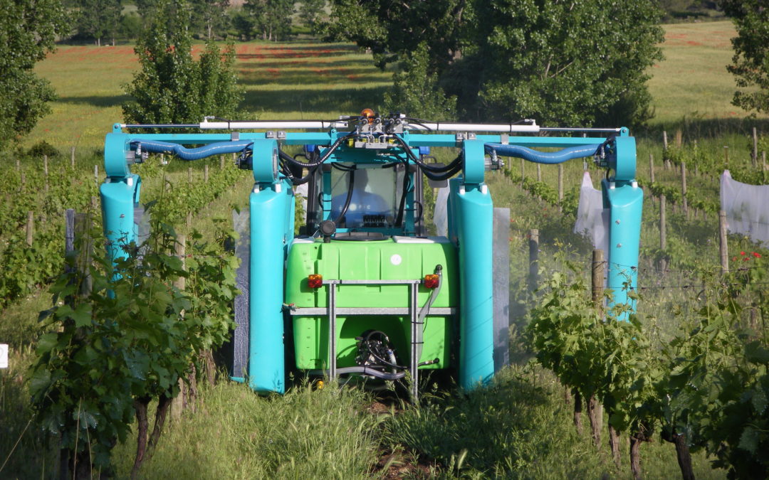 Camille Guilbert - Project leader in vine-growing - French Wine and Vine  Institute