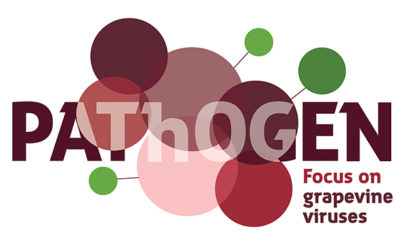 L’IFV crée le premier e-learning sur les viroses de la vigne