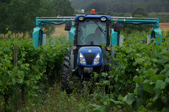 Confined spraying in viticulture