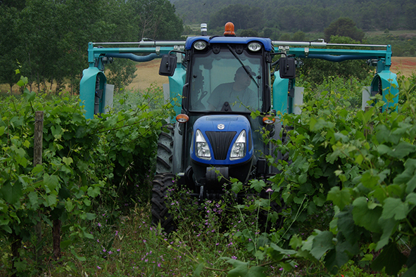 soins du vignoble et pulvérisation