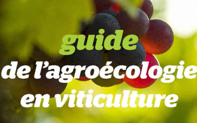 Guide de l’agroécologie en viticulture