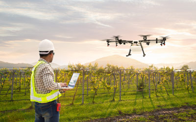 La pulvérisation par drone en viticulture