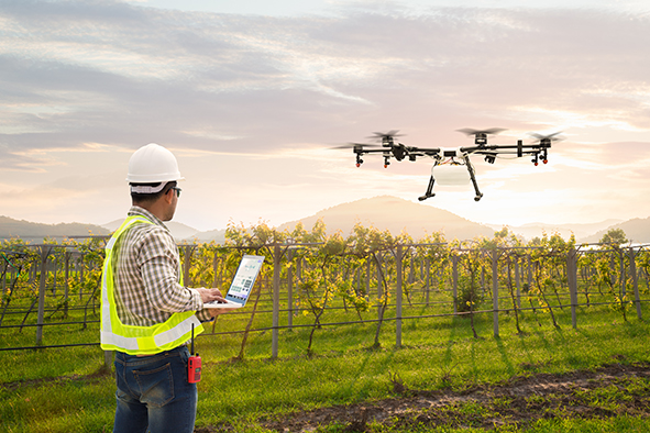 La pulvérisation par drone en viticulture