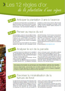 LES 12 RÈGLES D’OR DE LA PLANTATION D’UNE VIGNE