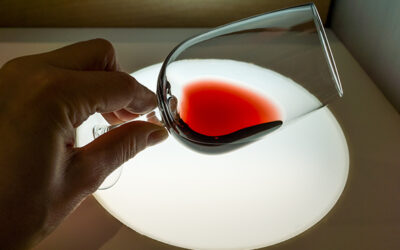 Webinaire : nouvelle approche du collage des vins rouges bio et végans