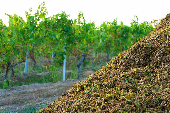 Stockage du carbone et impact des pratiques sur le sol