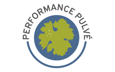 Performance Pulvé