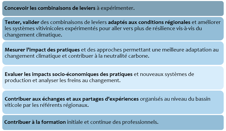 objectifs vitilience