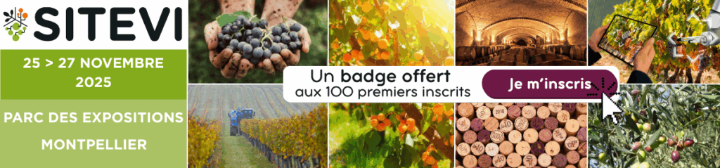 BANNIERE_SITEVI25_1200x280px