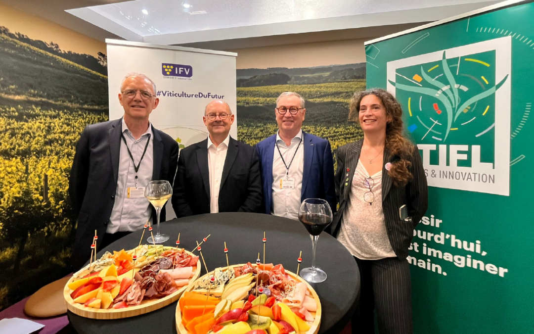 IFV-CTIFL : un partenariat pour l’innovation et la diversification des filières agricoles