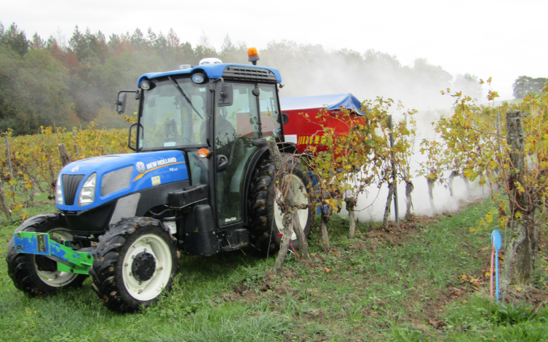 Tester, coopérer, innover : la viticulture au prisme des Living Labs